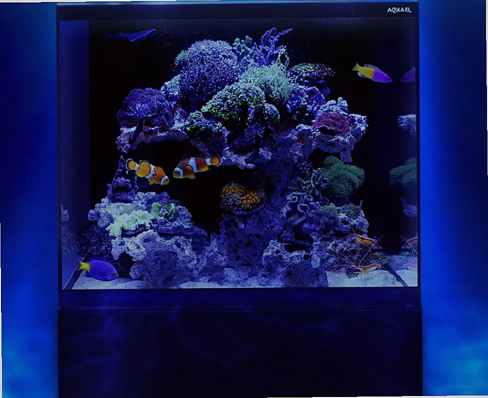 Aquael Aquarium Glossy Set Marine 60x58x50cm inkl. Unterschrank Meerwasser