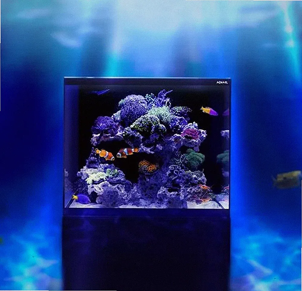 Aquael Aquarium Glossy Set Marine 60x58x50cm inkl. Unterschrank Meerwasser STAND