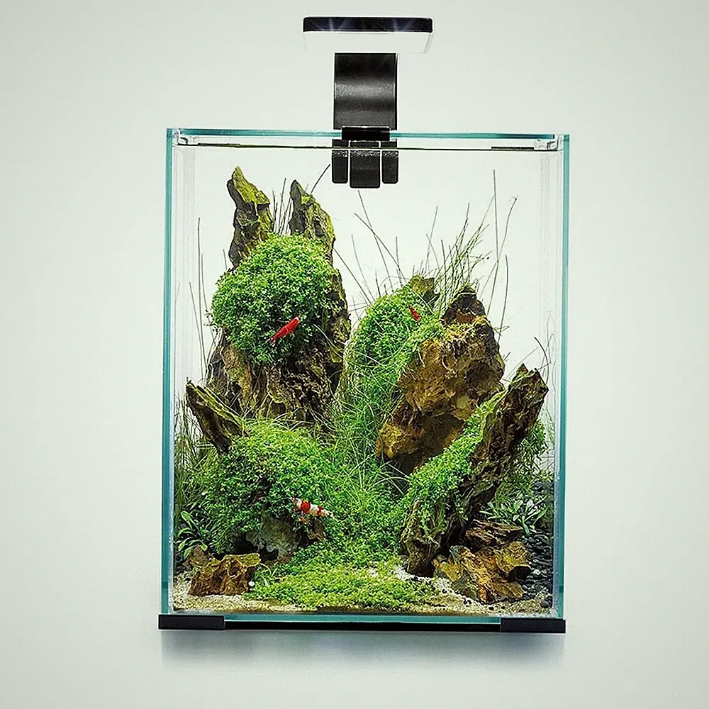 Aquael Shrimp Set Day & Night 19 Liter schwarz 25x25x30cm Nano Aquarium Garnelen