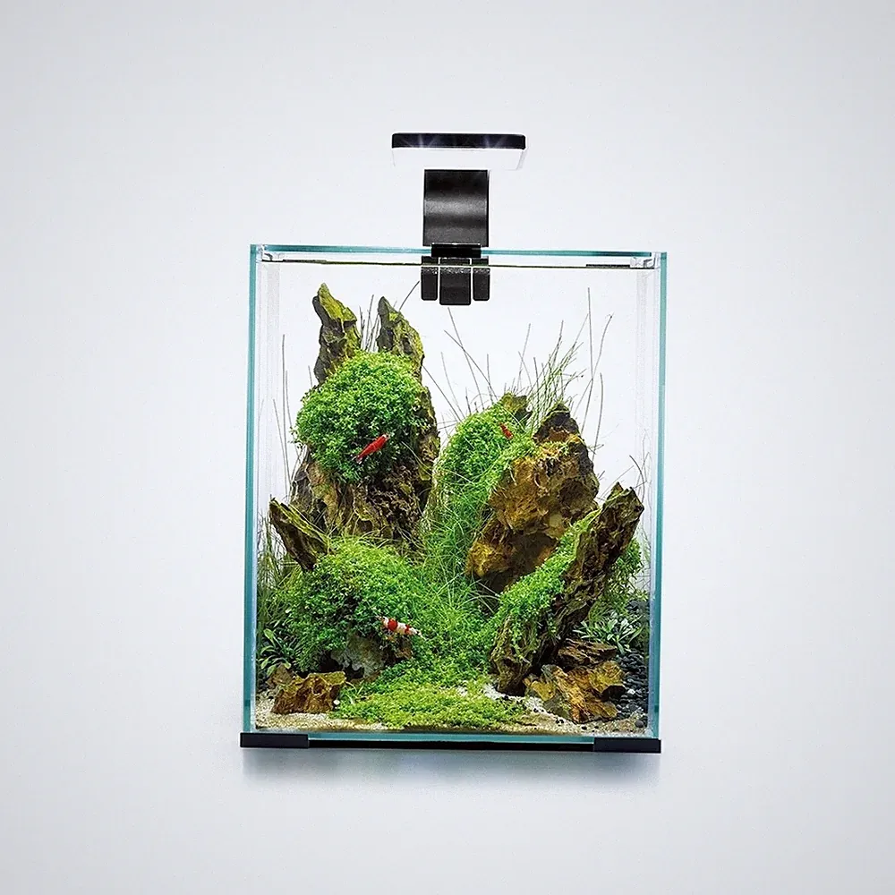 AQUAEL Shrimp Set Day & Night 20 schwarz 19L