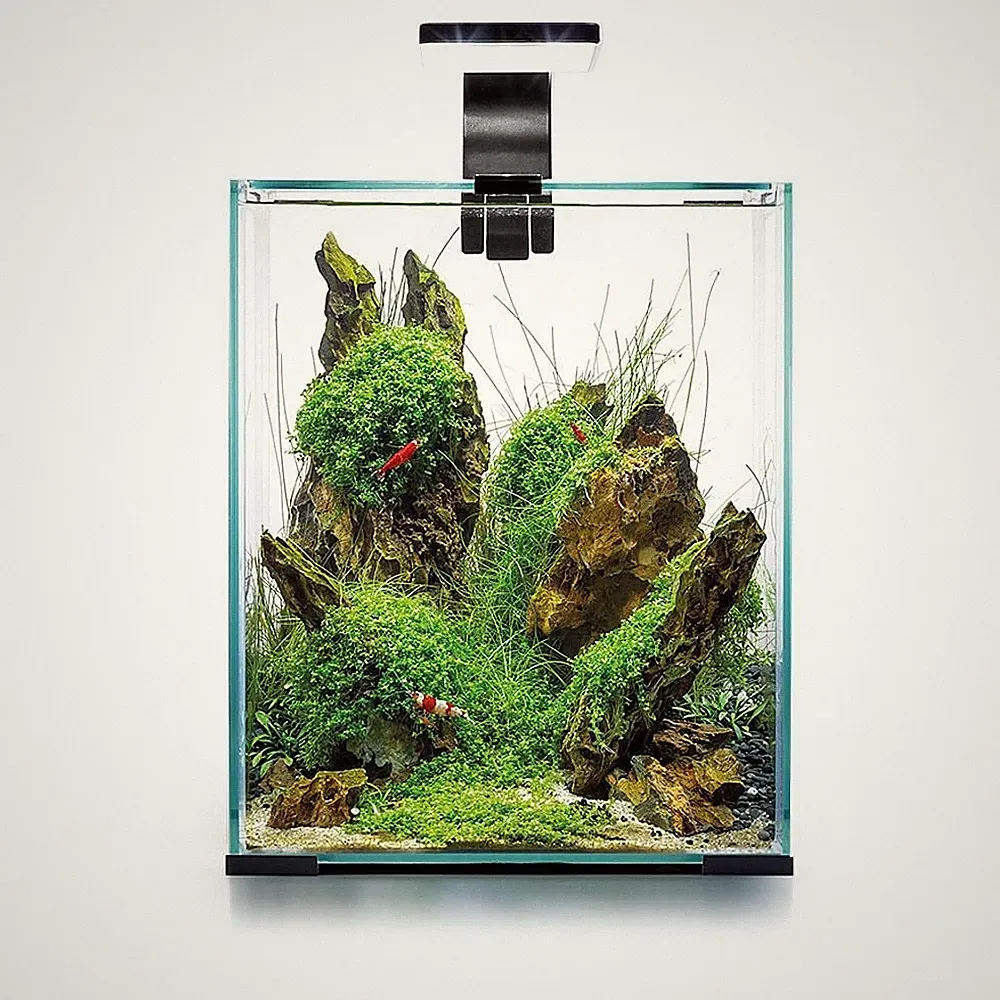 Aquael Shrimp Set Day & Night 30 Liter schwarz 29x29x35cm Nano Aquarium Garnelen