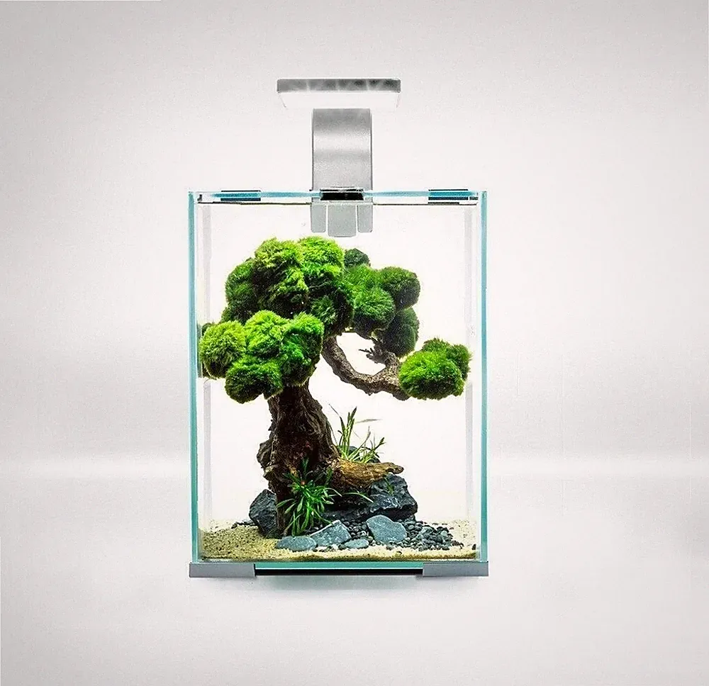 aquael aquarium 30l