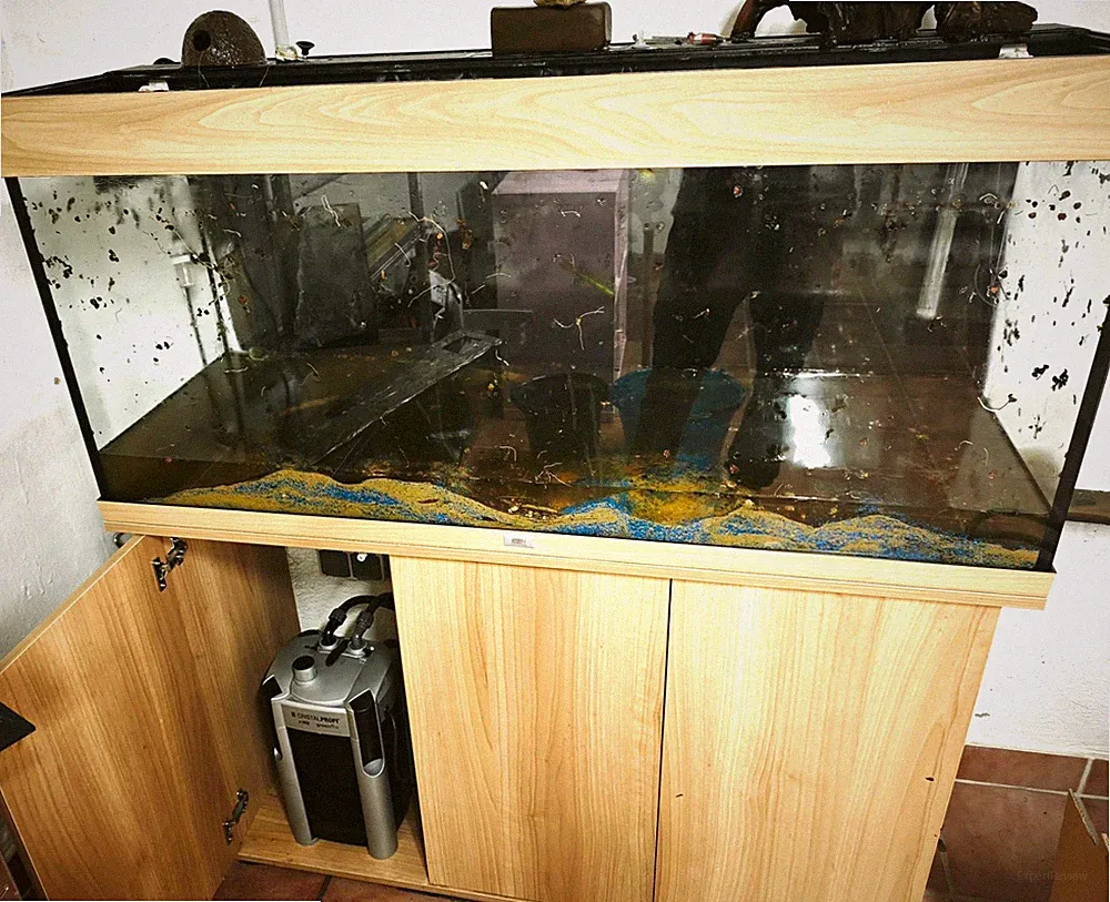 Aquarium 240 Mit JBL CristalProfi e902 greenline Außenfilter Und CO2 Anlage