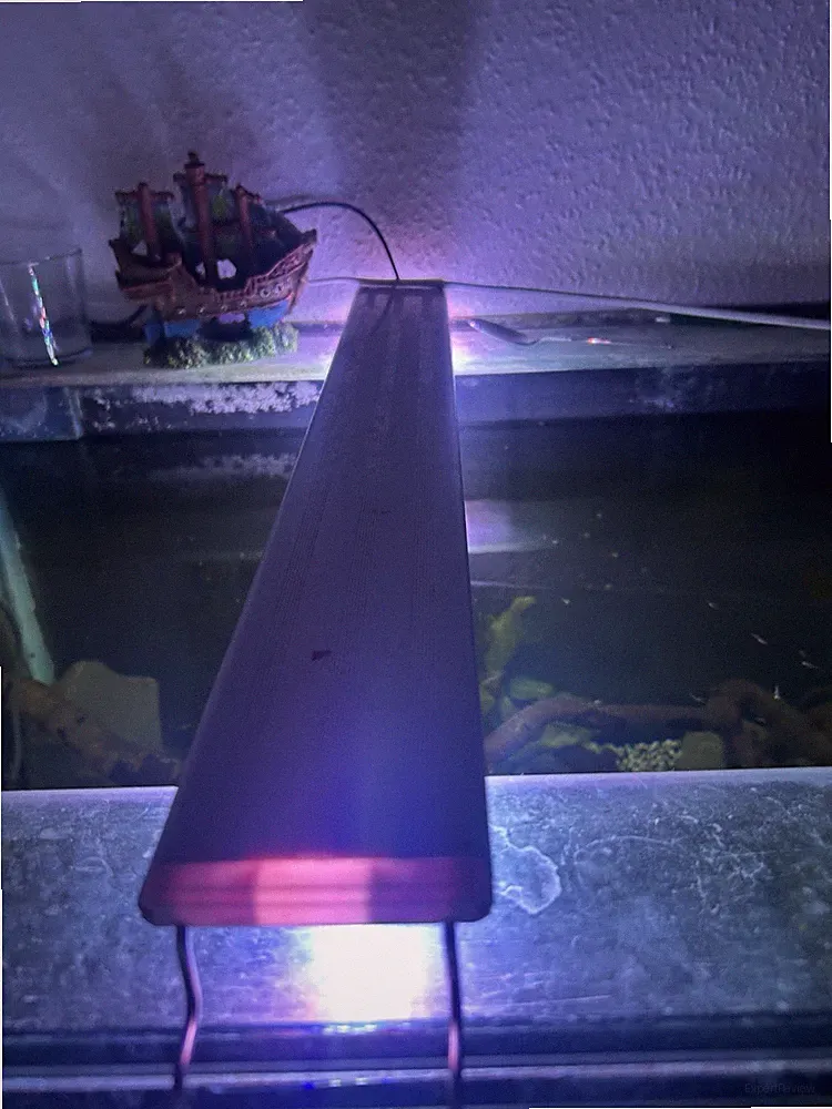 Aquarium 340liter mit Zubehör
