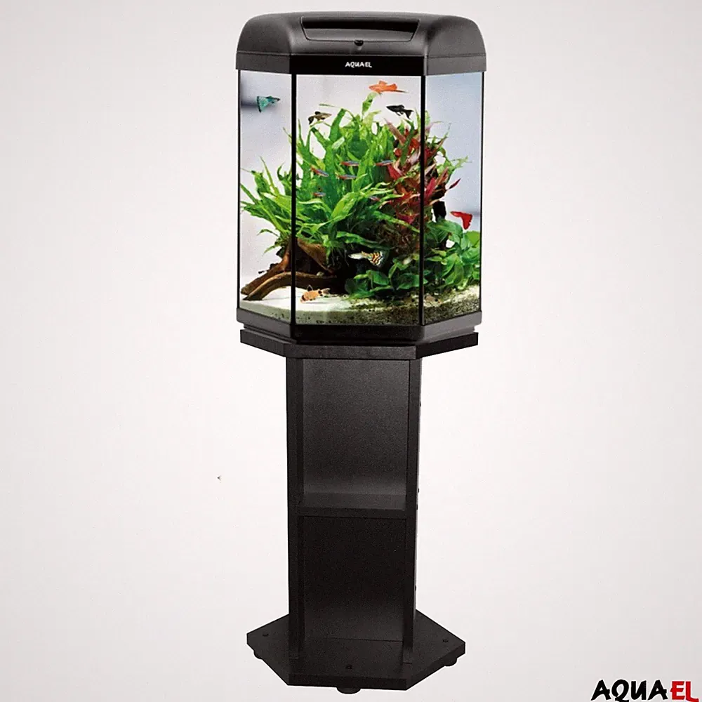 aquael aquarium 60l