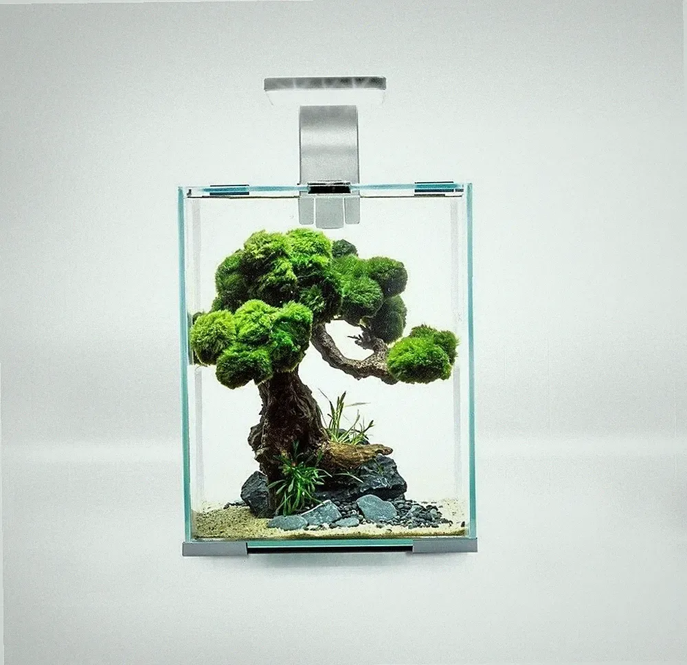 aquael aquarium set