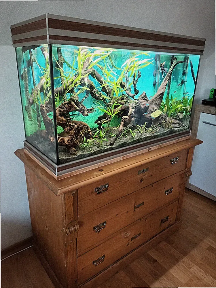 Aquarium komplett 240l - Aquatlantis Fusion 100 LED, EHEIM-Außenfilter 4+