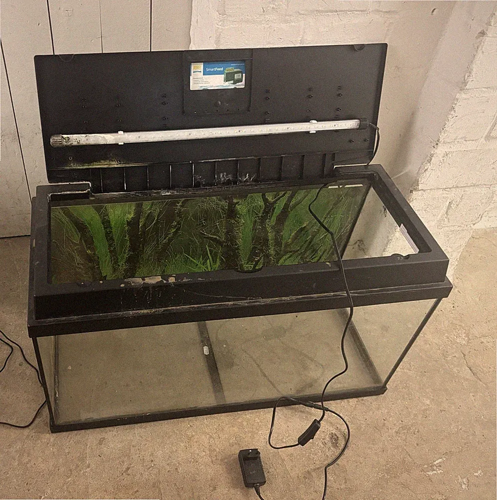 Aquarium mit Zubehör, Außenmaße 80x40x35 Cm mit Aussenfilter