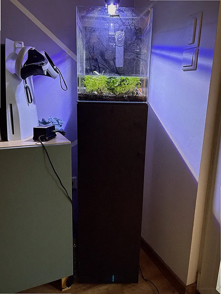 Aquarium Nano Cube 30L Süßwasser von Aquael Komplettset mit Unterschrank