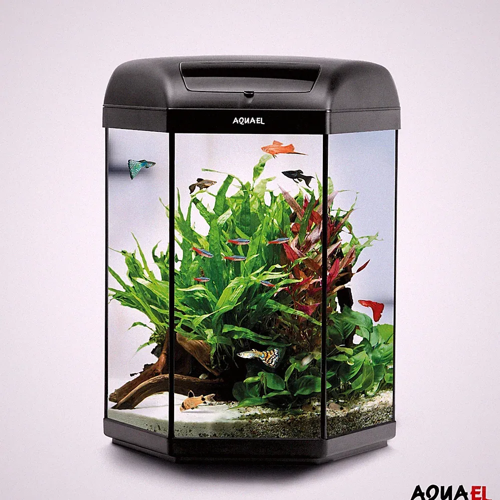 Aquarium- Set Hexa D&N 41x41x60cm 60L inkl. Filter, Heizung & LED Aquael