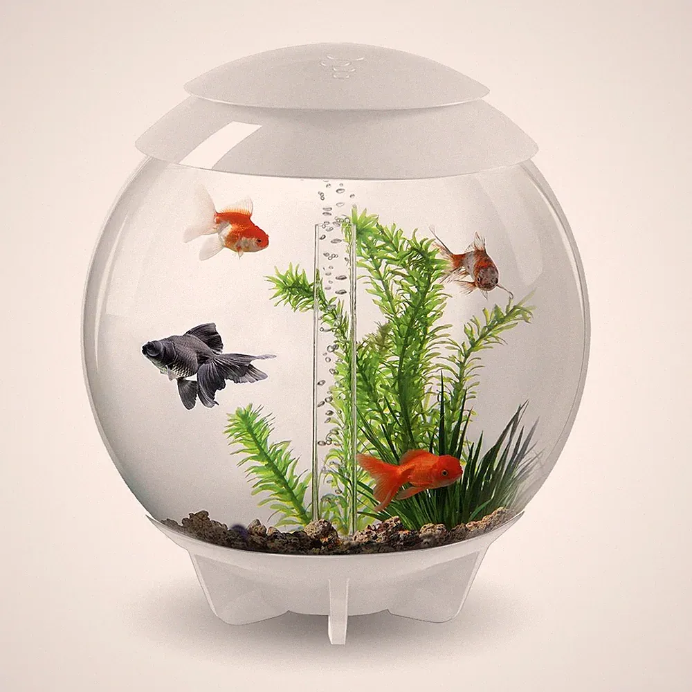 BIORB HALO AQUARIUM 30L WEISS FISCHBECKEN ALL IN ONE SETUP FILTER LED BELEUCHTUNG