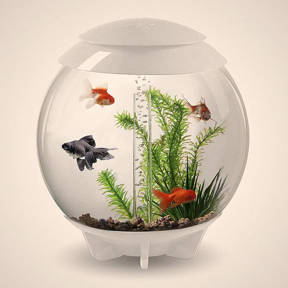 BIORB HALO AQUARIUM 30L WEISS FISCHBECKEN ALL IN ONE SETUP FILTER LED BELEUCHTUNG