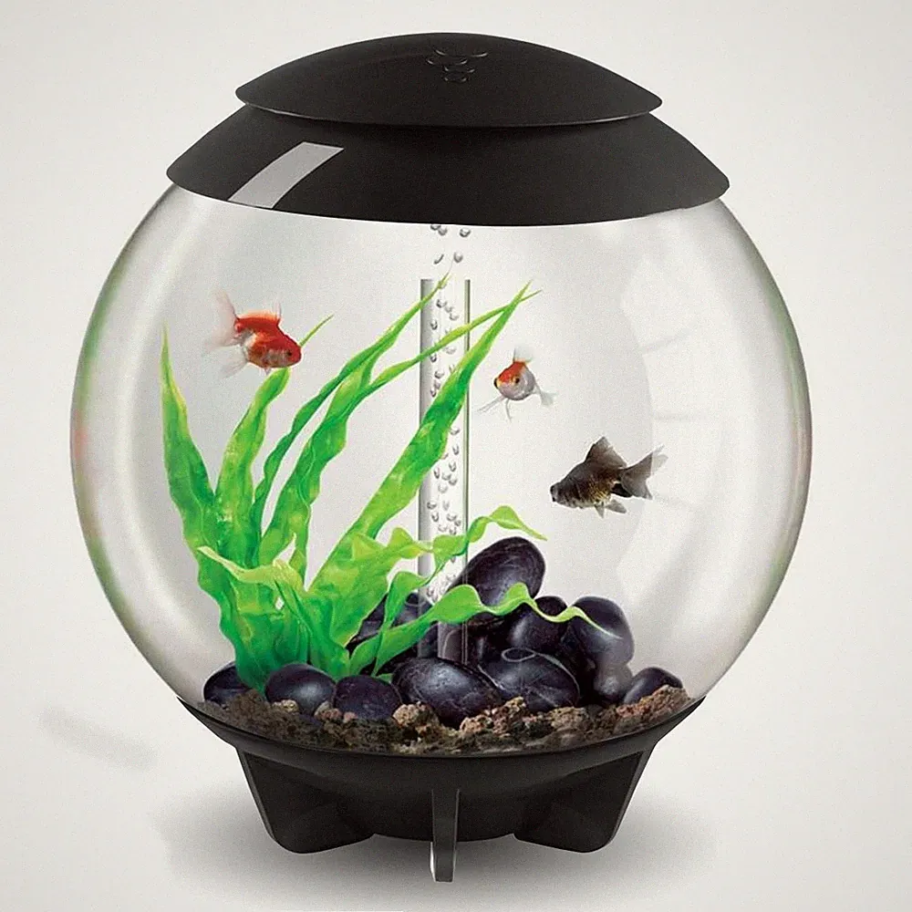 BIORB HALO AQUARIUM 60L GRAU FISCHBECKEN ALL IN ONE SETUP FILTER LED BELEUCHTUNG