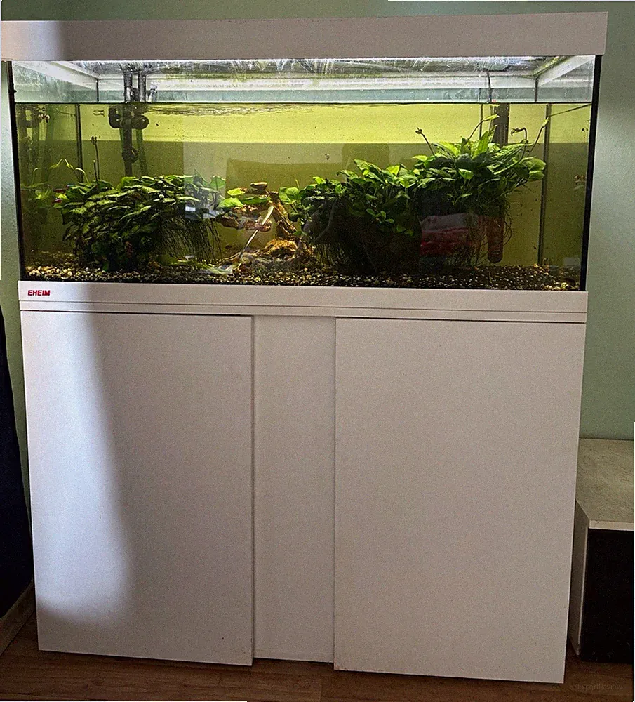 EHEIM Komplettaquarium 180L mit Unterschrank und Cristalprofi e 902 Außenfilter