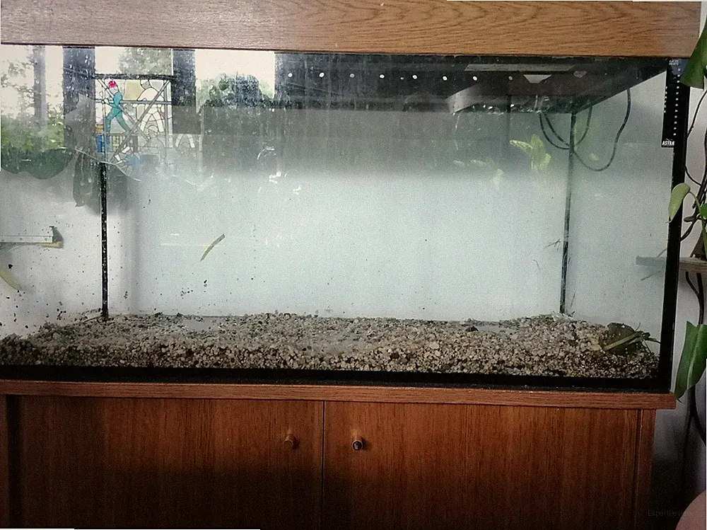 Juwel Aquarium 200l mit Außenfilter JBL CristalProfi 901 gebraucht