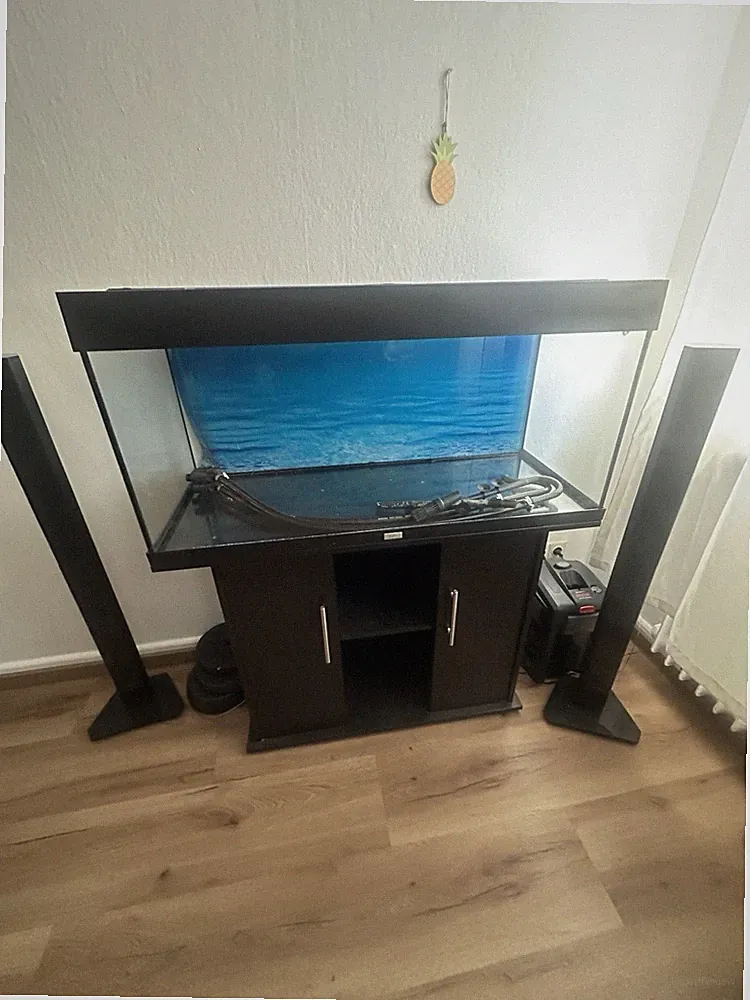 Juwel Rio 180 Aquarium mit Unterschrank und EHeim professional 4+ Aussenfilter.