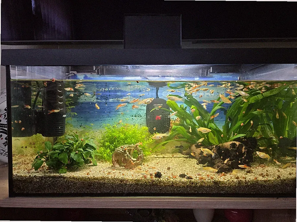 Set 60 Aquarium